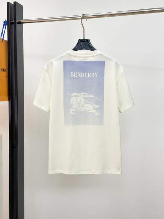 Picture of Burberry T Shirts Short _SKUBurberryS-2XLaztx1719953